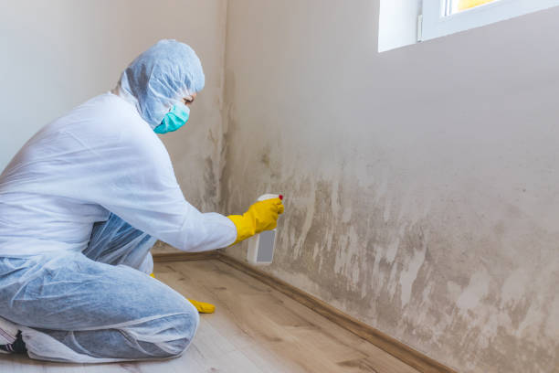 Licensed Commercial Mold Remediation service in Redmond, WA - 24 Hour Mold Removal