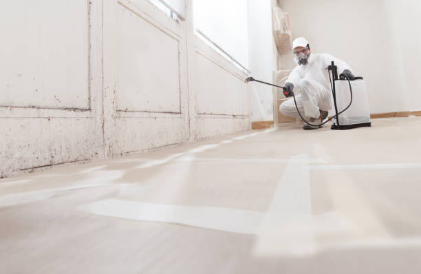 24/7 Emergency Commercial Mold Remediation experts in Redmond, WA