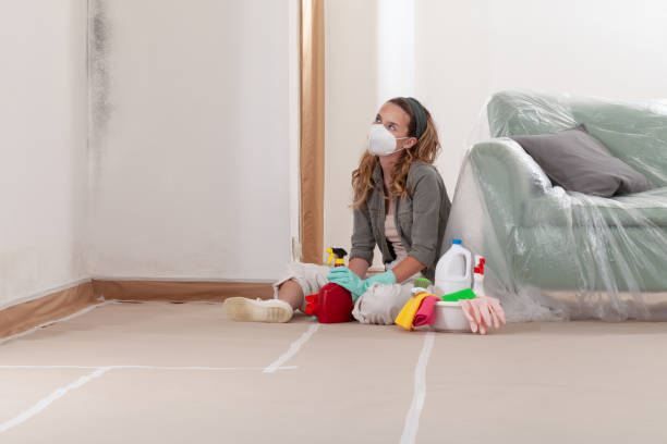 Reliable Commercial Mold Remediation contractor in Redmond, WA by 24 Hour Mold Removal