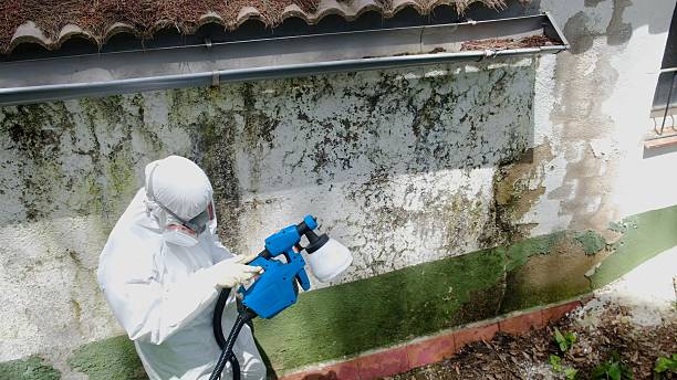 Top rated local Commercial Mold Remediation specialists in Redmond, WA